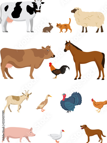 Set of cute farm animals isolated on white background Stock Vector | Adobe  Stock