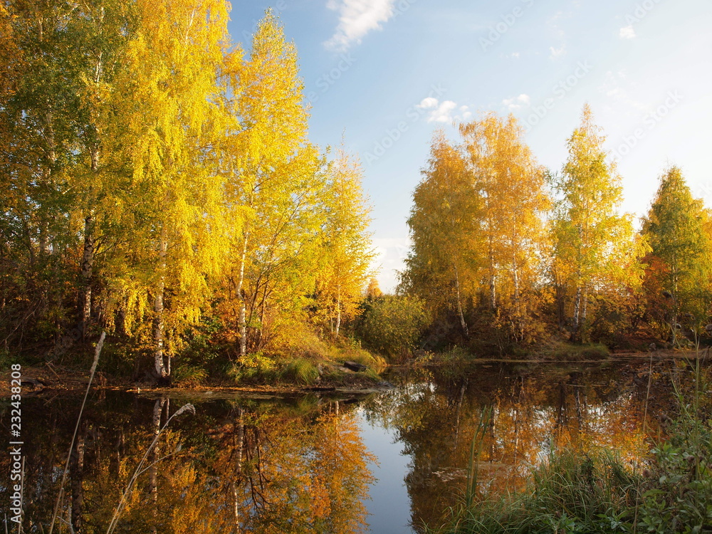 Autumn park, trees, river bay. Russian autumn nature. Russia, Ural, Perm region