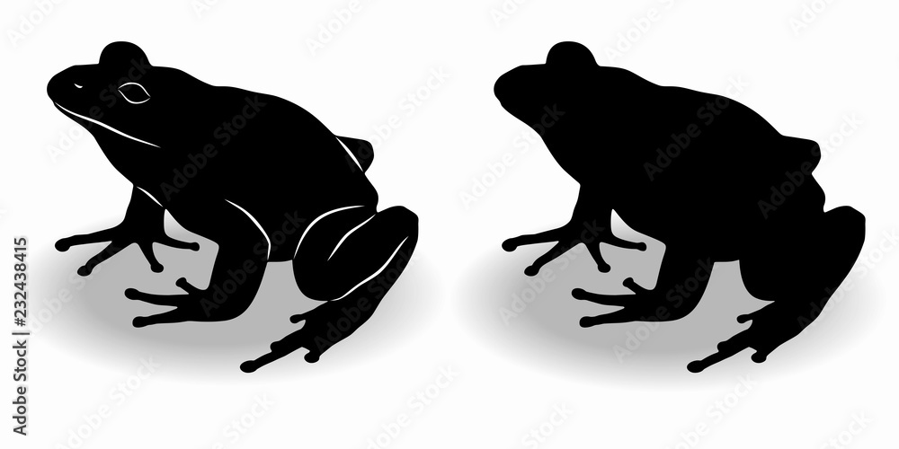 Obraz premium sylwetka żaby, rysunek wektorowy