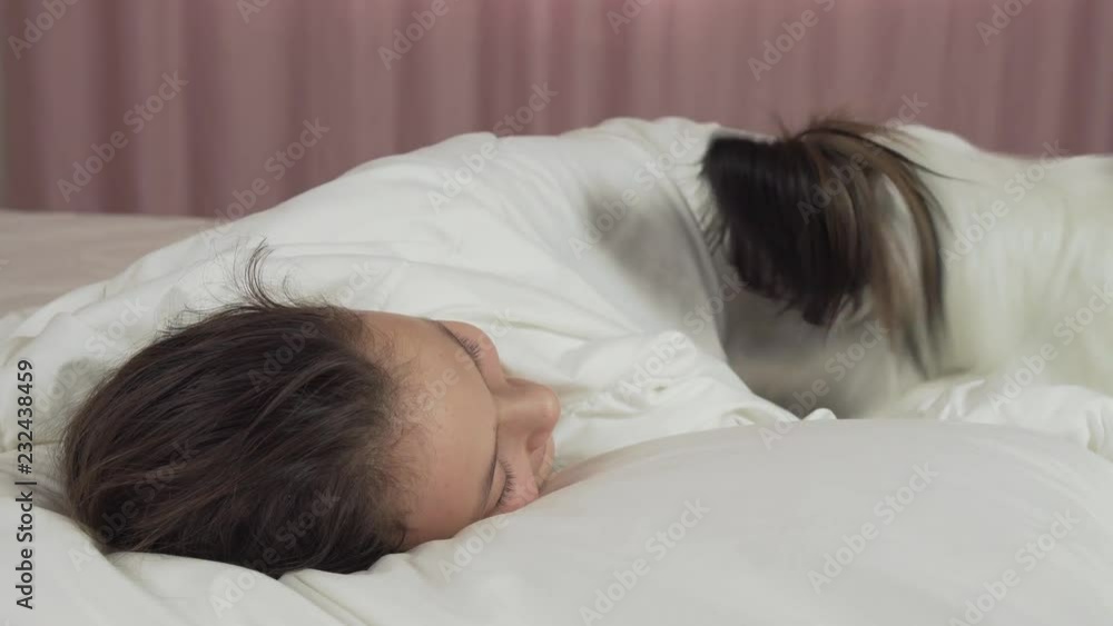 Papillon dog wakes teen girl in the bed stock footage video Papillon dog wakes teen girl in the bed stock footage video
