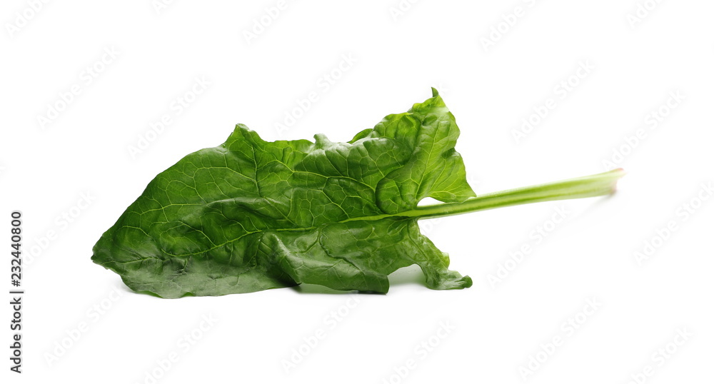 Fresh spinach leaf isolated on white background Fresh spinach leaf isolated on white background