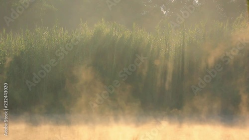 Fog over lake surface is flowing with stunning light on the background in the morning