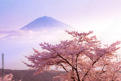 桜と富士山と青空