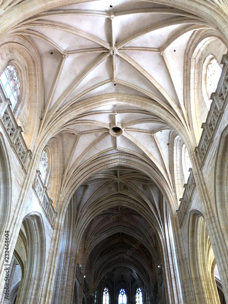 Soffitto gotico della navata centrale di Bourg-en-bresse, Francia