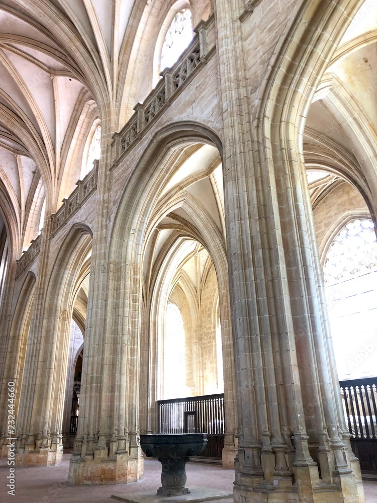 Colonne e volte gotiche della chiesa di Brou, Bourg-en-bresse, Francia 