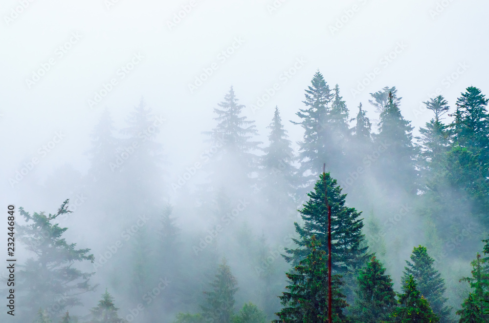 Obraz premium Misty mountain landscape