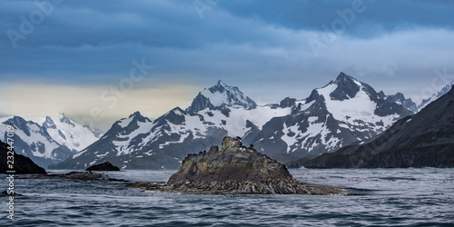 Cooper Island - South Georgia