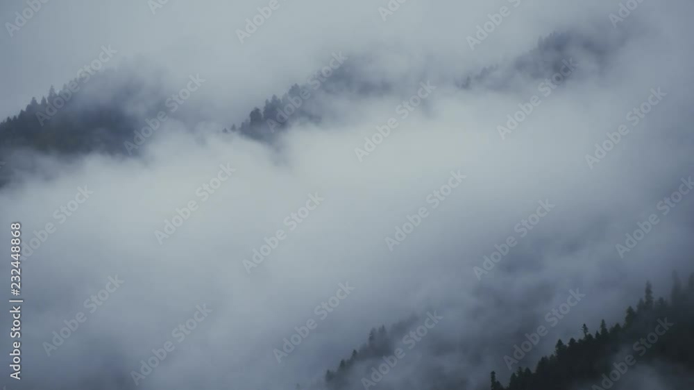 Fog in mountains. A cloud covers wooded slopes of mountains. It hid some areas but other ones show dark coniferous forest veiled in haze. Caucasus, view from Mestia (Svaneti, Georgia) Fog in mountains. A cloud covers wooded slopes of mountains. It hid some areas but other ones show dark coniferous forest veiled in haze. Caucasus, view from Mestia (Svaneti, Georgia)