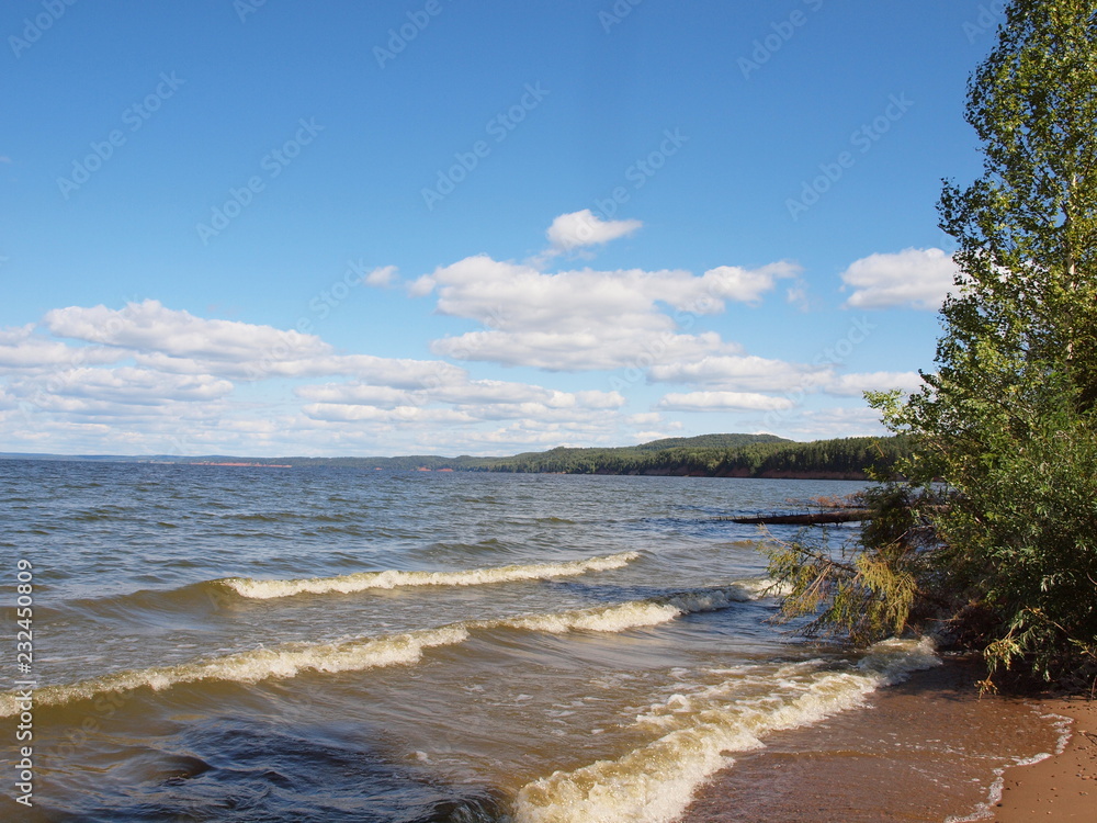 Tree on the coast of the river. Russian summer nature. Russia, Ural, Perm region