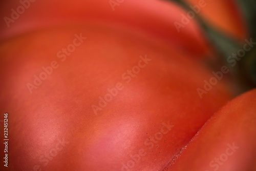 Beef or beefsteak tomato macro with selective focus © Creatus