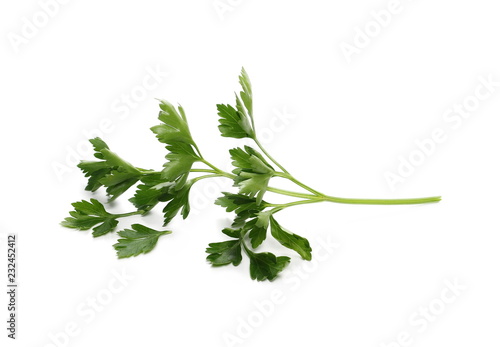 Fresh green parsley leaves, bundle isolated on white background 