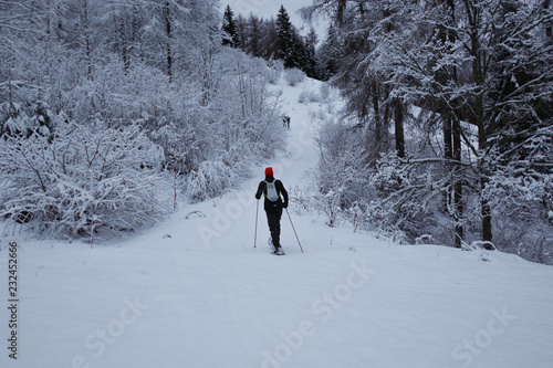 Canvas Print the alpinism skier, enters the forest