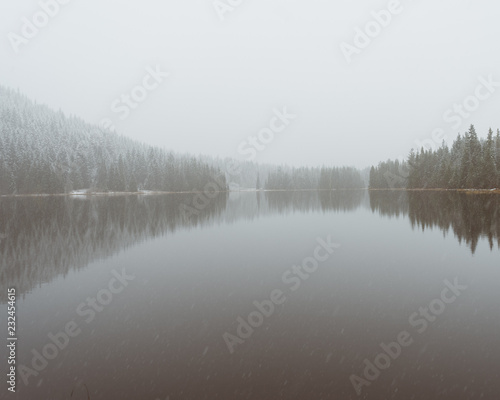 Snowy morning at Trillium Lake, Mt Hood National Forest, Oregon, USA