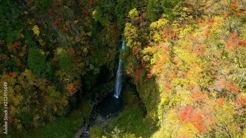 岐阜県　阿弥陀ヶ滝　紅葉　2018 ドローン空撮