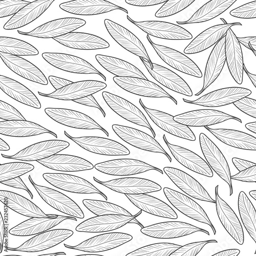 Argan. Sketch. Seamless, wallpaper. Leaves.