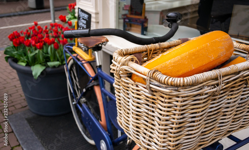 Dutch cheese wheels in bicycle basket with beautiful red tulips in background
