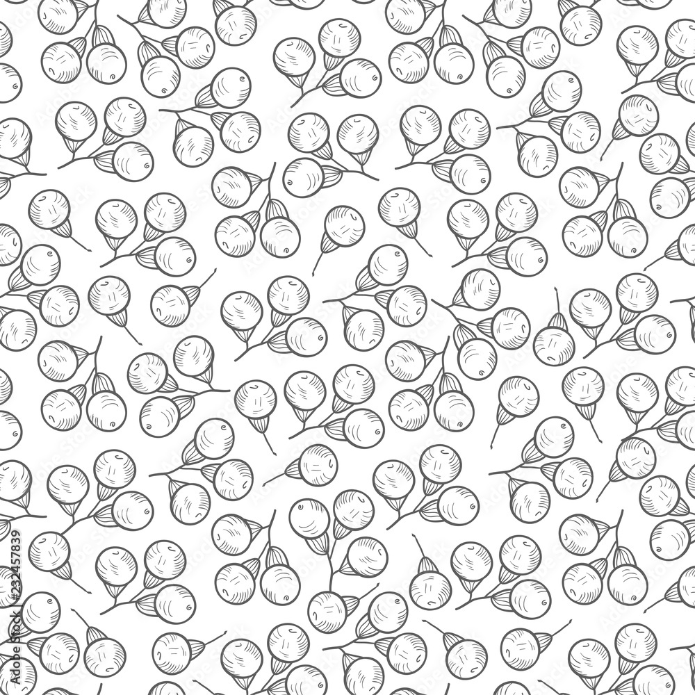 Camphor. Berries. Wallpaper, seamless. On a white background. Sk