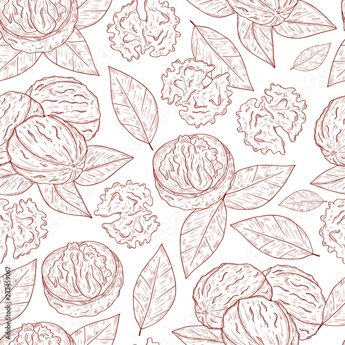 Walnut. Fruit, leaves. Background, wallpaper, seamless. Sketch. 