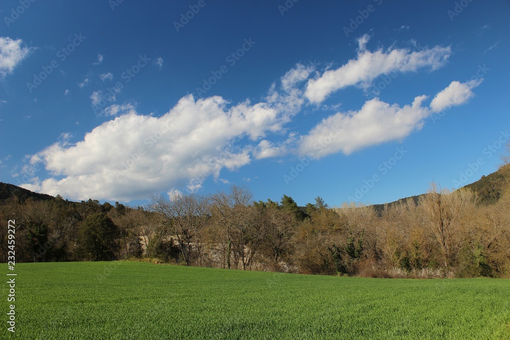 Fototapeta premium Primavera en Cataluña