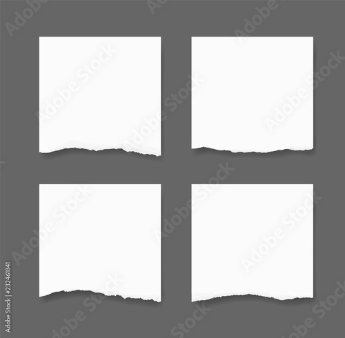 Torn paper edges set. Ripped paper texture background with area for copy space. Vector.