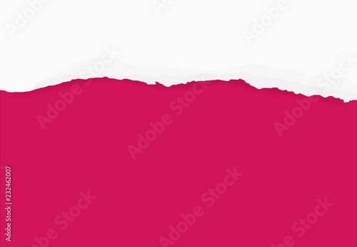 Wallpaper Mural Torn paper edges for background. Ripped paper texture background with area for copy space. Vector. Torontodigital.ca