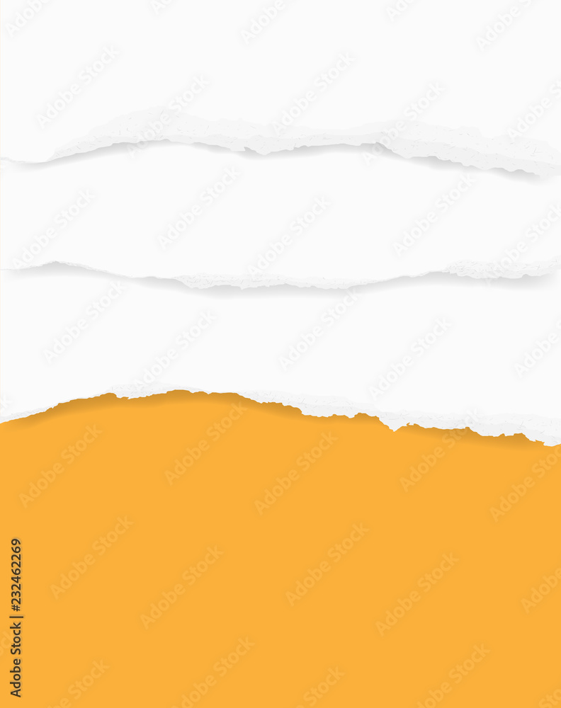 Torn paper edges for background. Ripped paper texture background with area for copy space. Vector.