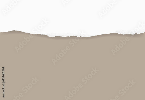 Torn paper edges for background. Ripped paper texture background with area for copy space. Vector.