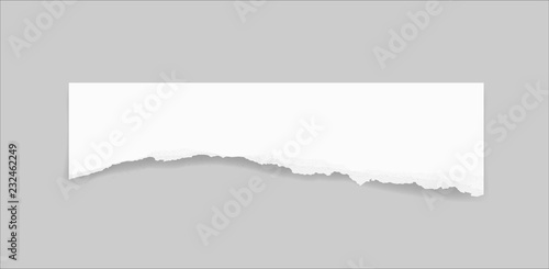 Torn paper edges for background. Ripped paper texture background with area for copy space. Vector.