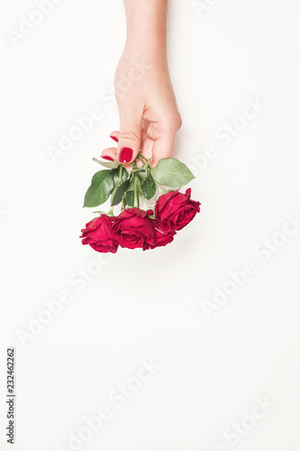 Fototapeta Naklejka Na Ścianę i Meble -  flowers roses in hands of girl, top view, little red roses on white background