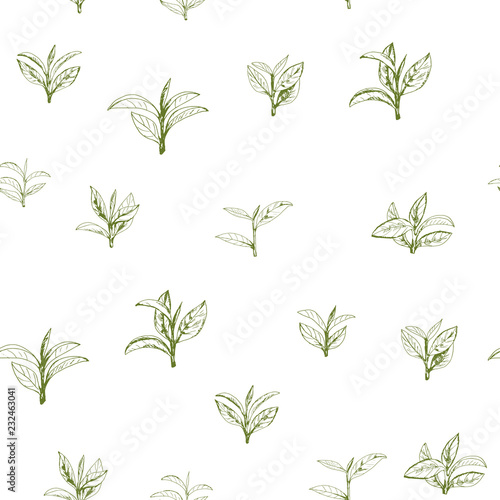 seamless pattern with green tea, hand-drawn leaves and branches of tea