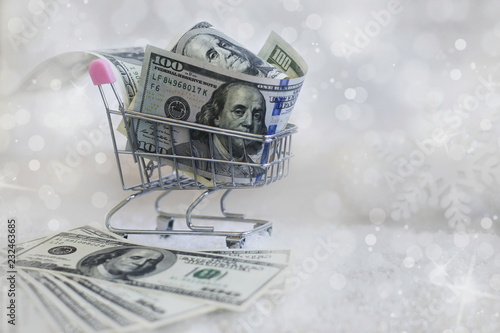 money in the form of dollar
Dollars in the shopping basket