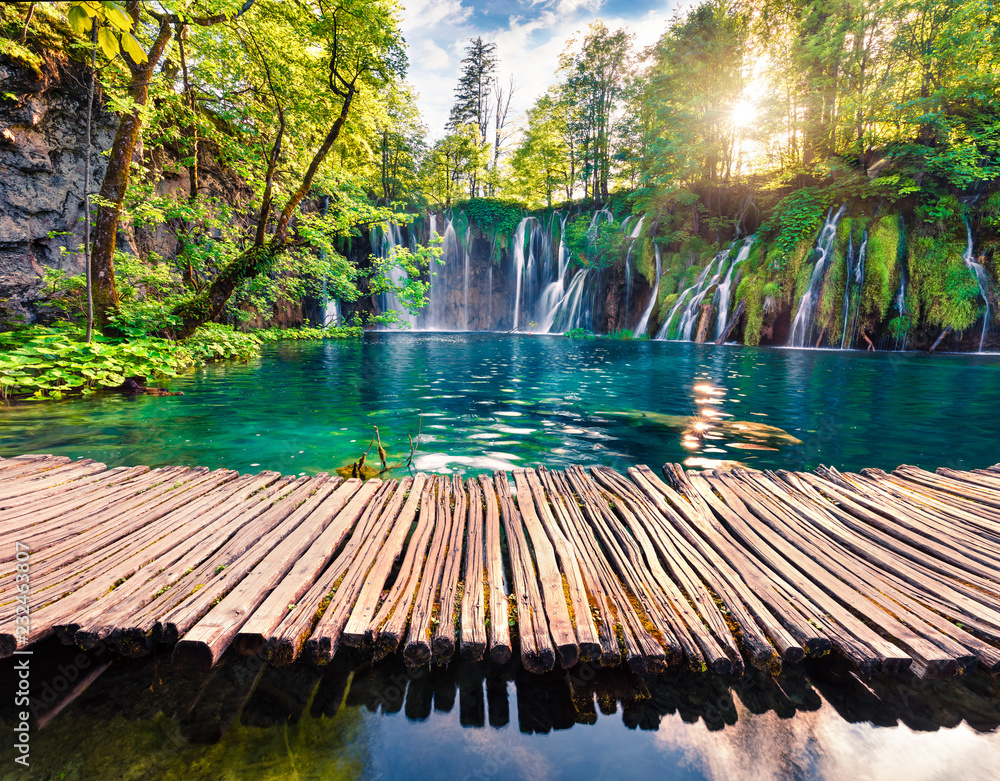 Fototapeta premium Malowniczy ranku widok Plitvice park narodowy. Kolorowa wiosny scena zielony las z czystą wodospadem. Wielki krajobraz wsi Chorwacji, Europy.