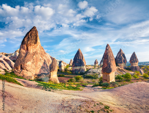Impressive spring scene of Cappadocia. Picturesque morning view of of Red Rose valley in April. Cavusin village located, district of Nevsehir, Turkey, Asia. Traveling concept background.