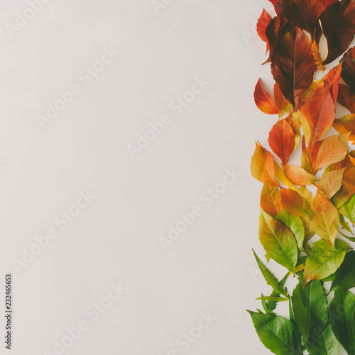 Creative pattern of colorful autumn or fall leaves. Flat lay, top view. Changing season concept. Nature composition with paper card note copy space.