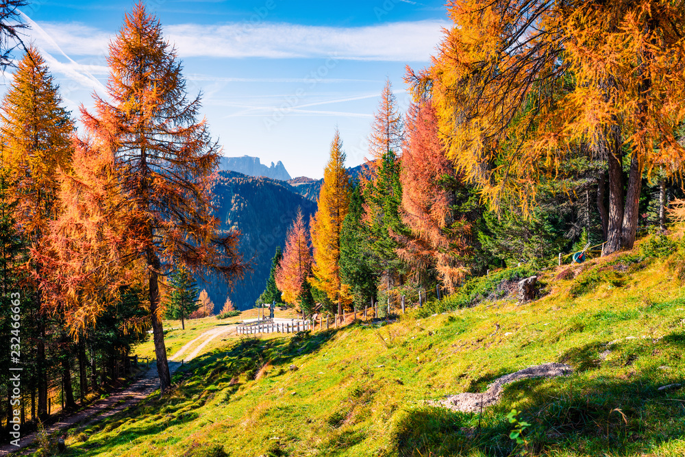 Bright autumn view of Dolomite Alps. Colorful morning scene of countryside of Italy, Europe. Traveling concept background.