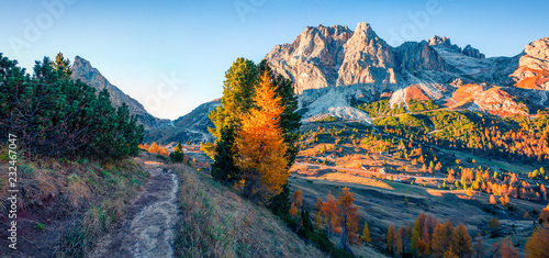 Impressive autumn view from the top of Falzarego pass with Lagazuoi mountain range. Colorful morning scene of Dolomite Alps, Cortina d'Ampezzo lacattion, Italy, Europe. © Andrew Mayovskyy