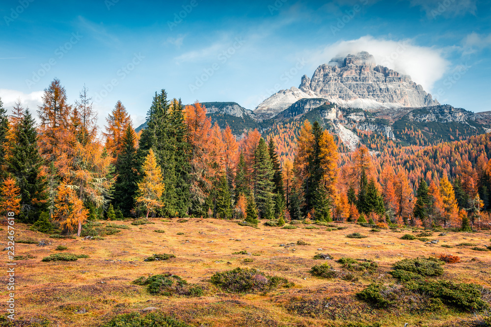 Sunny morning scene of National Park Tre Cime di Lavaredo. Colorful autumn scene of Dolomite Alps, South Tyrol, Location Auronzo, Italy, Europe. Beauty of nature concept background.