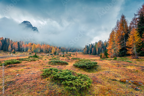 Sunny morning scene of National Park Tre Cime di Lavaredo. Colorful autumn landscape in Dolomite Alps, South Tyrol, Location Auronzo, Italy, Europe. Beauty of nature concept background.