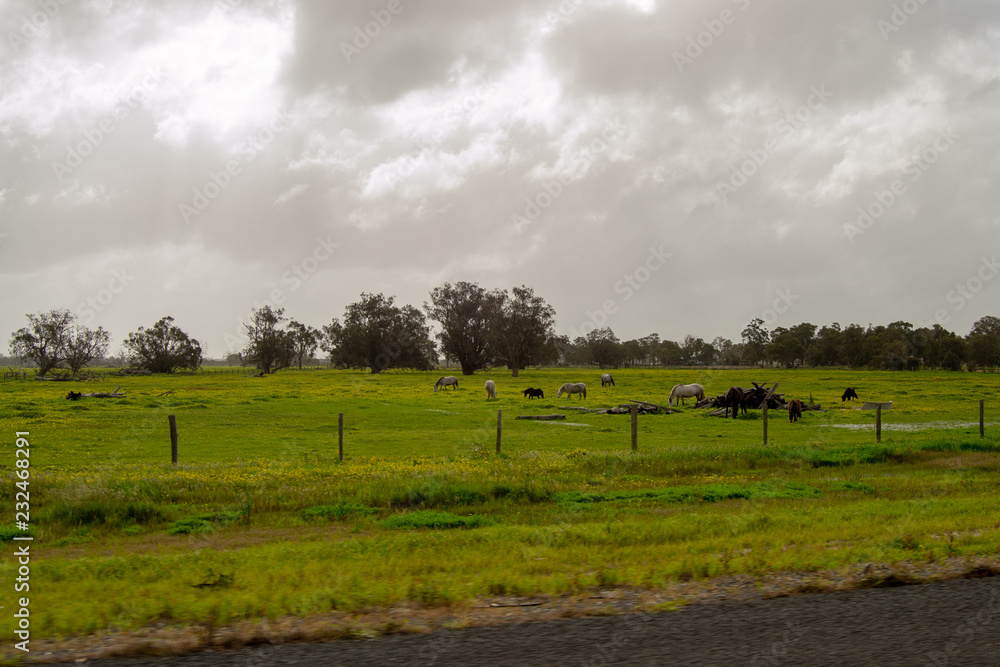 Landscape of Perth surroundings outback green nature cloudy day Landscape of Perth surroundings outback green nature cloudy day