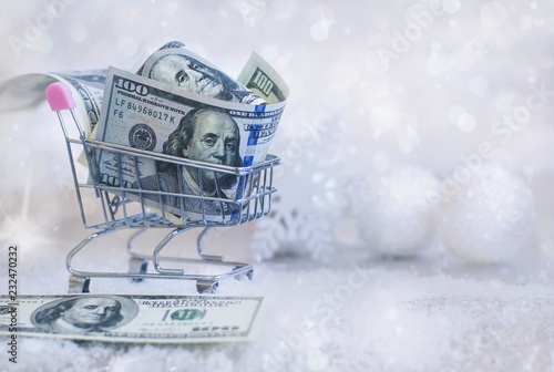 money in the form of dollar
Dollars in the shopping basket