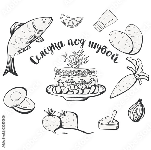 Russian cuisine. Herring under a fur coat (dressed herring) ingredients, vector sketch, isolated white