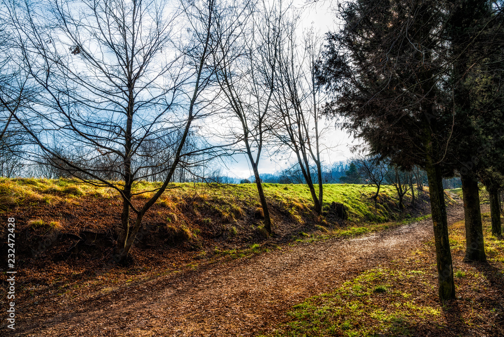Fototapeta premium Paesaggio collinare invernale 