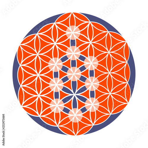 Sacred Geometry Vector Illustration Kabbalah Tree Of Life On The Pattern Of Creation Symbol Also Known As Flower Of Life Sacred Geometry Tree Mandala Or Cosmic Personal Creation Icon Stock Vector