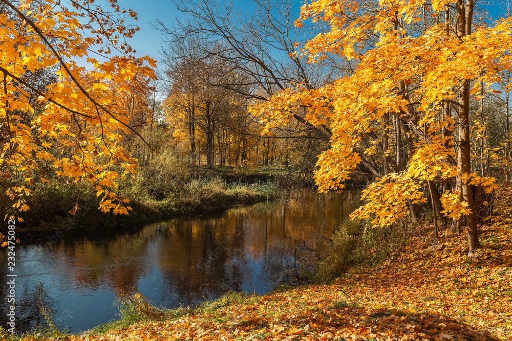 Autumn, river and trees