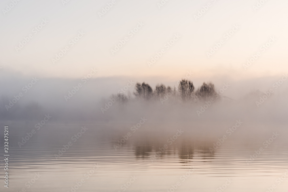 Fog winter landscape at lake with tree 