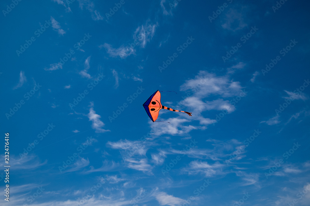 Makara-Sankranti, flying kite and kite in the air, cloud sky. Makara-Sankranti, flying kite and kite in the air, cloud sky.