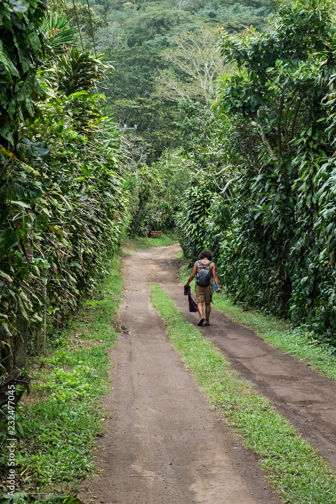 Fototapeta premium road up Mombacho, Nicaragua 