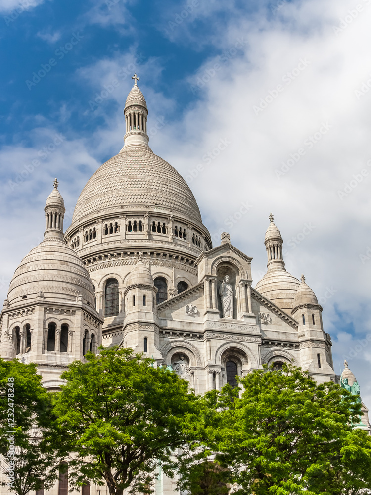 Sacre Coeur Basilica, the Basilica of the Sacred Hearts, Paris, France
