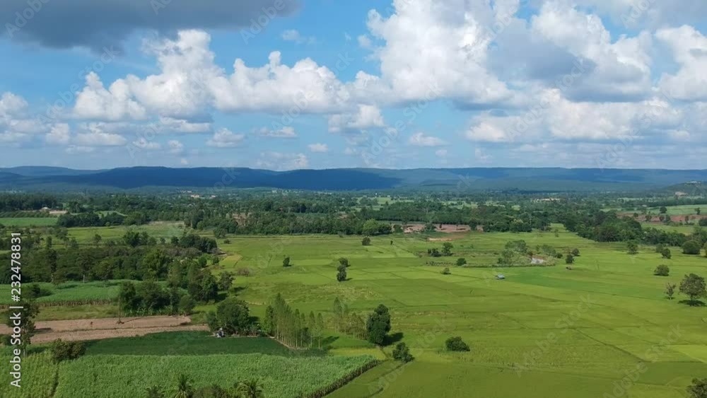 Aerial view of the green rice fields,Image of beautiful terrace rice field. Aerial view of the green rice fields,Image of beautiful terrace rice field.