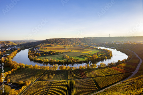 Panoramablick vom Aussichtspunkt Käsberg Kanzel auf die Neckarschleife bei Mundelsheim im Herbst